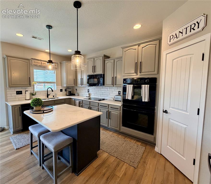 10820 Cascading Spring Circle Peyton CO 80831