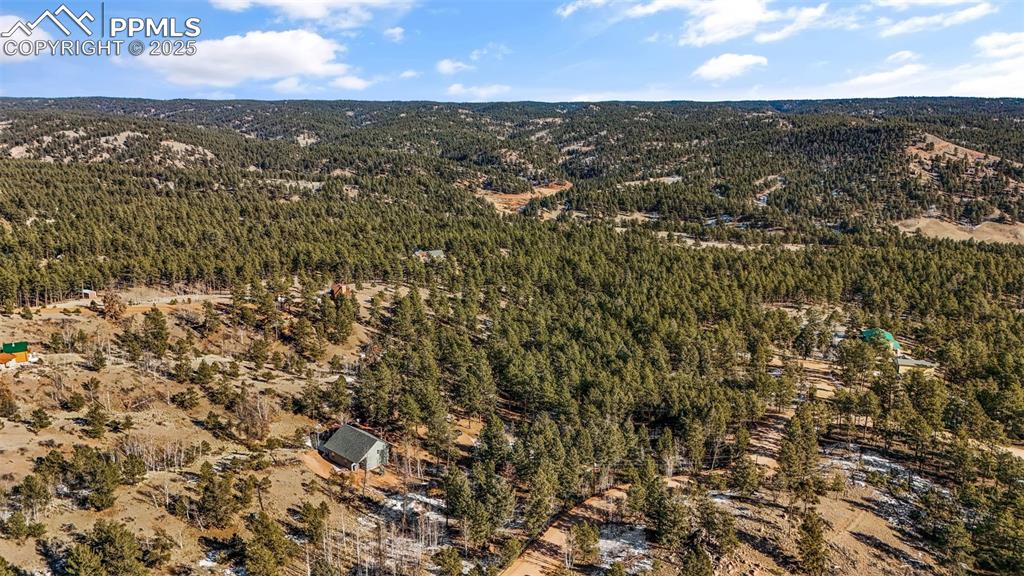 2270 Pikes Peak Drive Florissant CO 80816