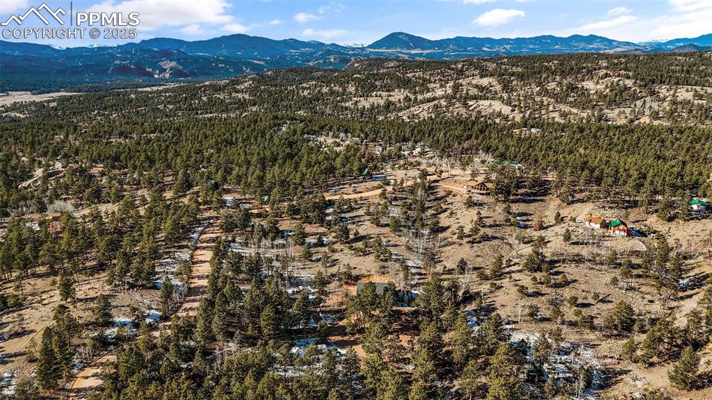 2270 Pikes Peak Drive Florissant CO 80816