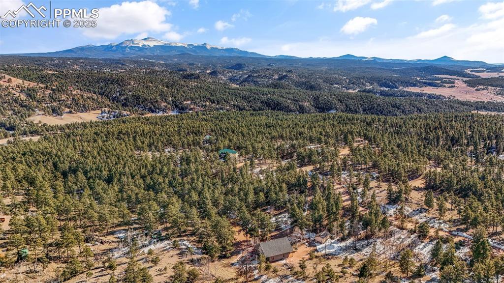 2270 Pikes Peak Drive Florissant CO 80816