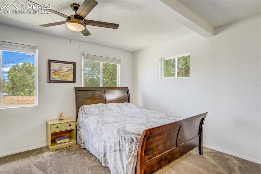 807 Bryce Drive Colorado Springs CO 80910