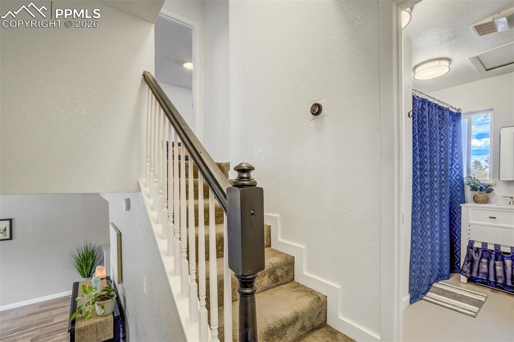 807 Bryce Drive Colorado Springs CO 80910