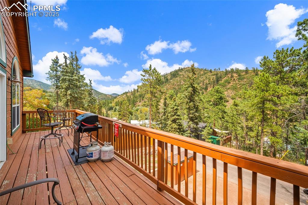 9845 Mesa Road Cascade CO 80809