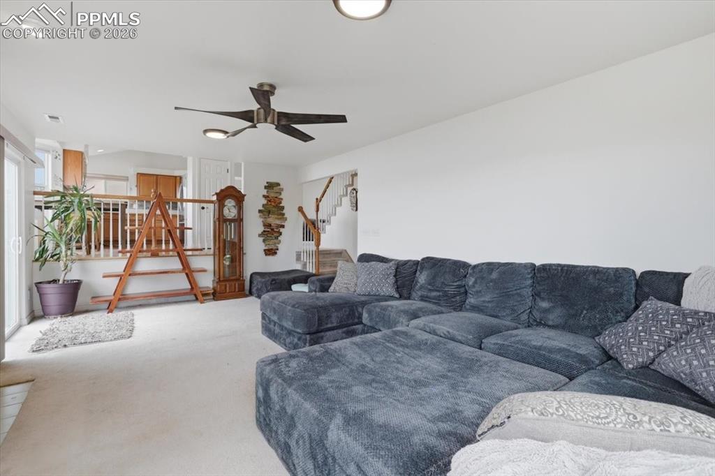 6762 Wild Indigo Drive Colorado Springs CO 80923