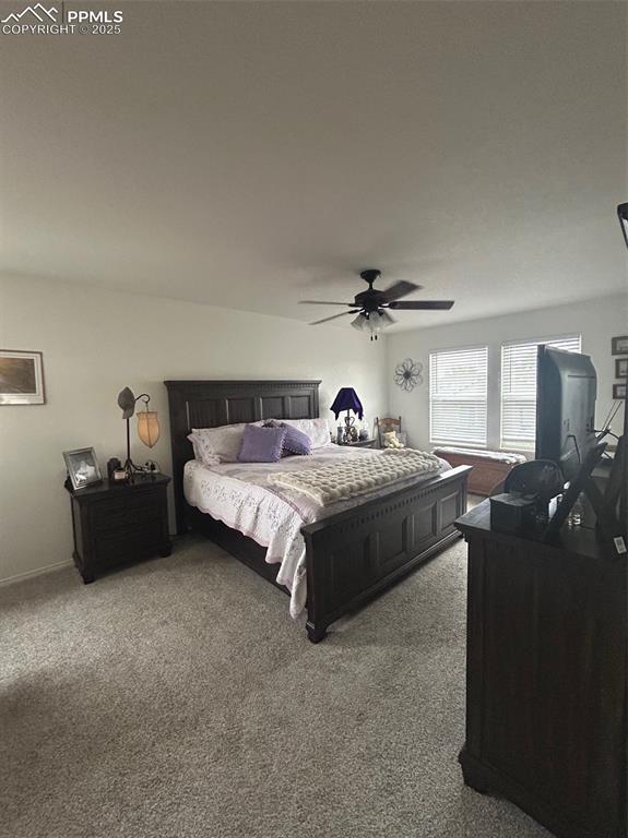 7368 Prythania Park Drive Colorado Springs CO 80923