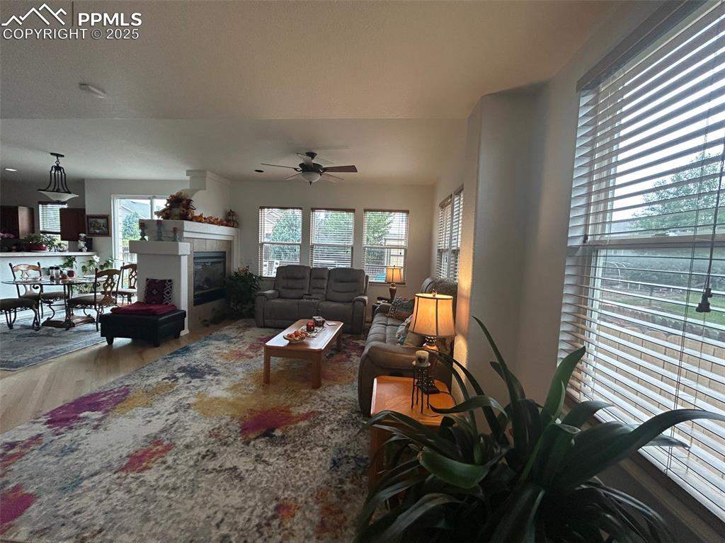 7368 Prythania Park Drive Colorado Springs CO 80923