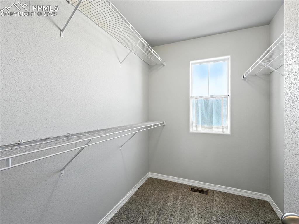 6222 Barr Point Colorado Springs CO 80924