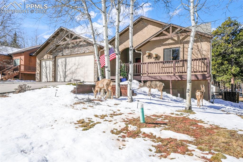 1116 Ptarmigan Drive Woodland Park CO 80863