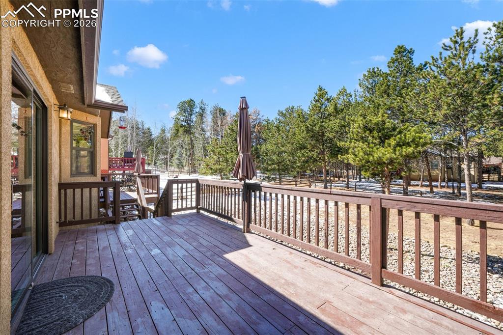 1116 Ptarmigan Drive Woodland Park CO 80863