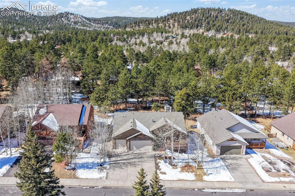 1116 Ptarmigan Drive Woodland Park CO 80863