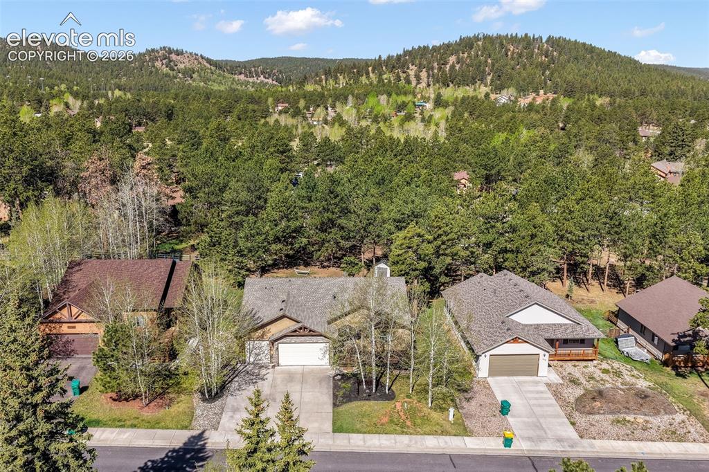 1116 Ptarmigan Drive Woodland Park CO 80863