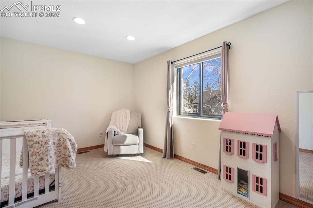 1116 Ptarmigan Drive Woodland Park CO 80863