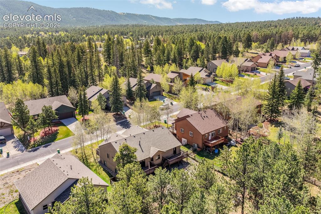 1116 Ptarmigan Drive Woodland Park CO 80863
