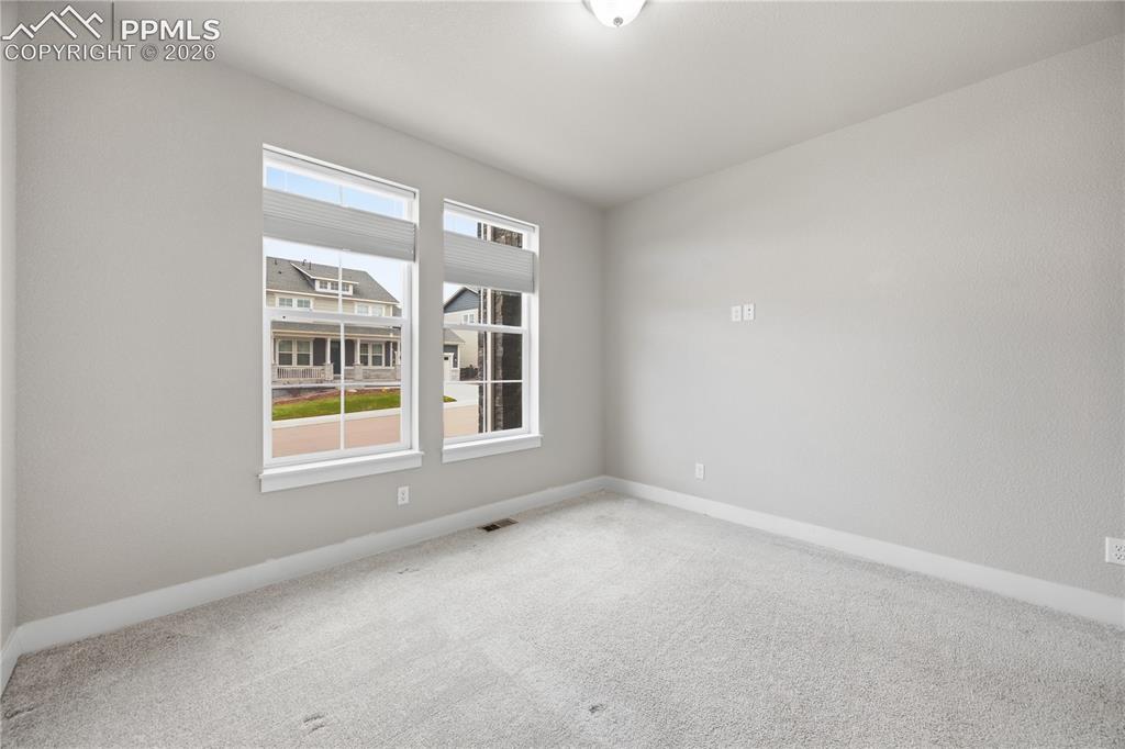 15637 Native Willow Drive Monument CO 80132