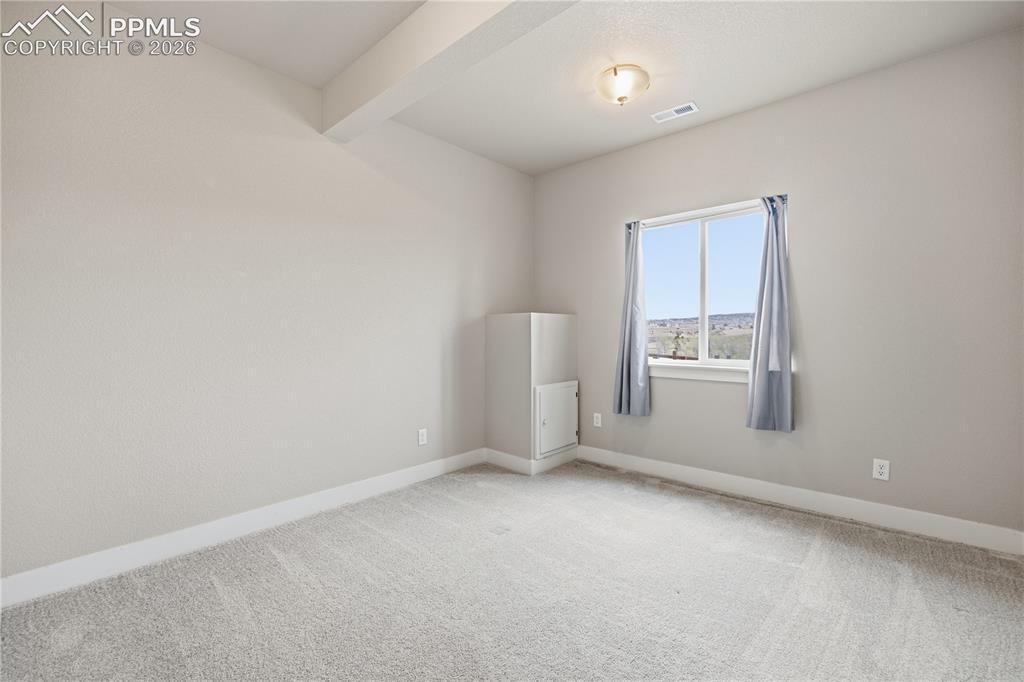 15637 Native Willow Drive Monument CO 80132