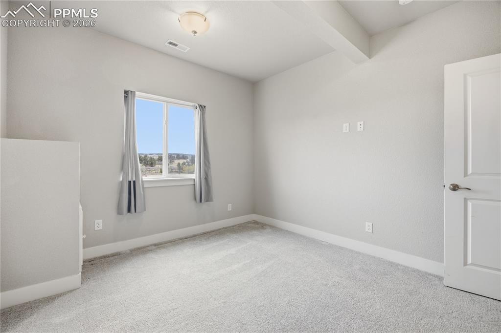 15637 Native Willow Drive Monument CO 80132