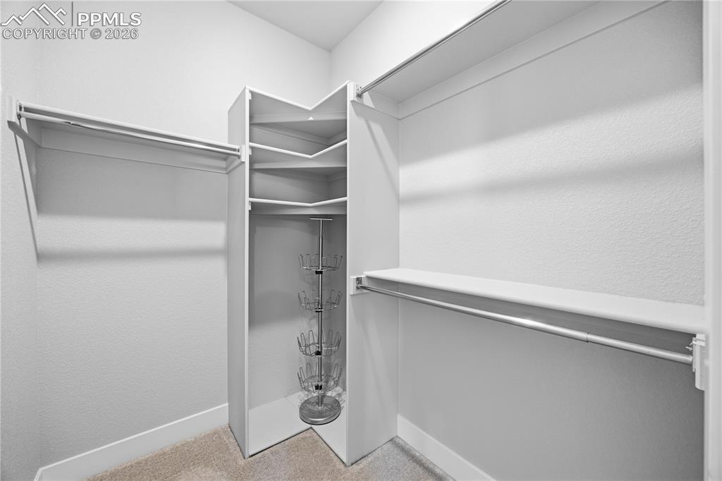 15637 Native Willow Drive Monument CO 80132
