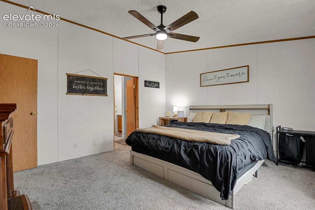 6630 Buckboard Drive Peyton CO 80831