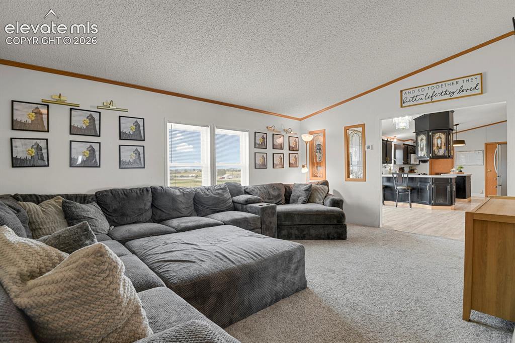 6630 Buckboard Drive Peyton CO 80831