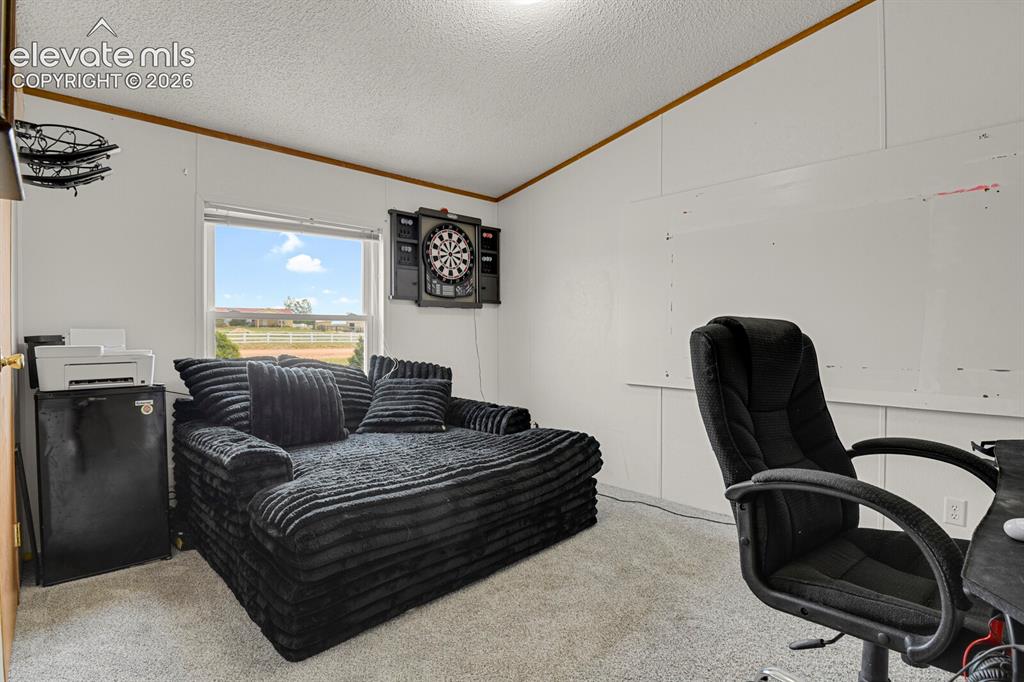 6630 Buckboard Drive Peyton CO 80831