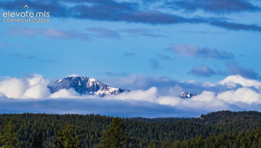 13035 Deer Ridge Way Larkspur CO 80118
