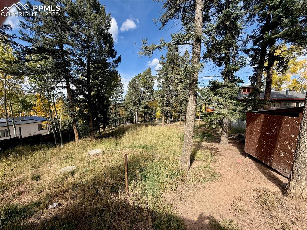753 Will Stutley Drive Divide CO 80814