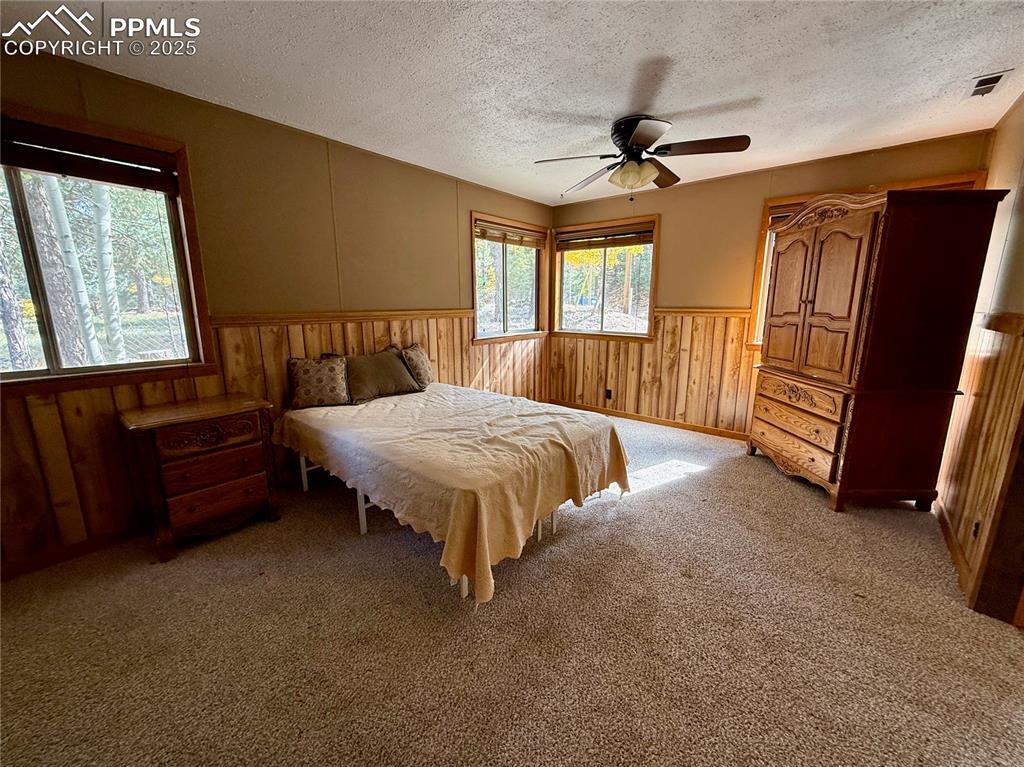 753 Will Stutley Drive Divide CO 80814