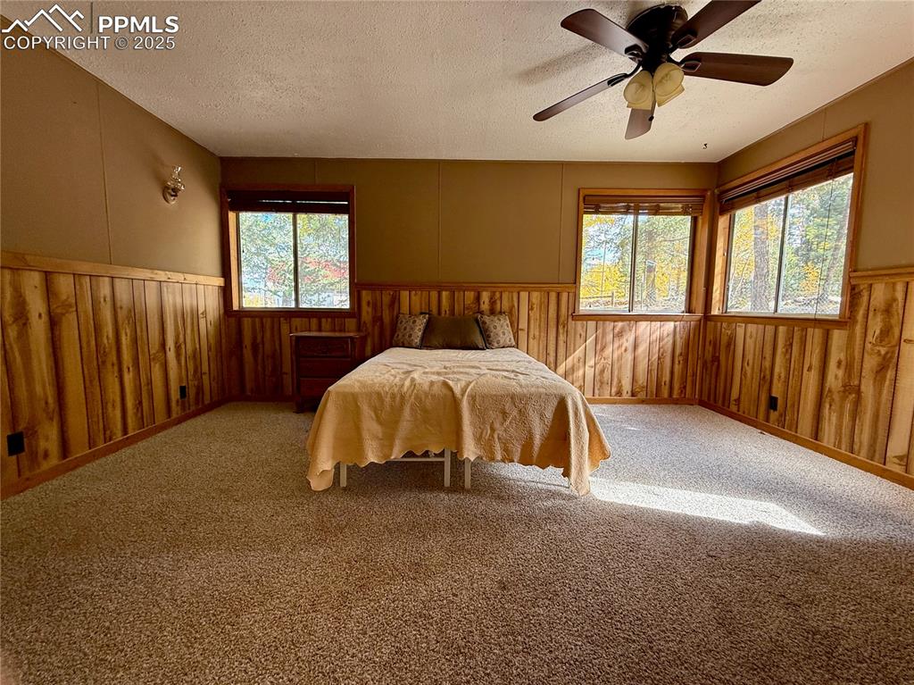 753 Will Stutley Drive Divide CO 80814