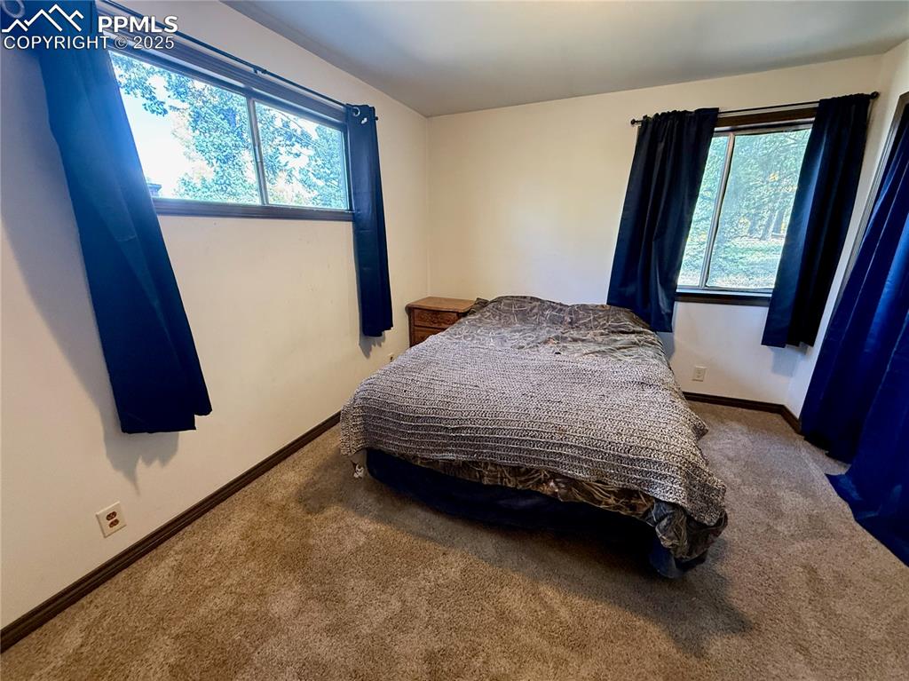 753 Will Stutley Drive Divide CO 80814
