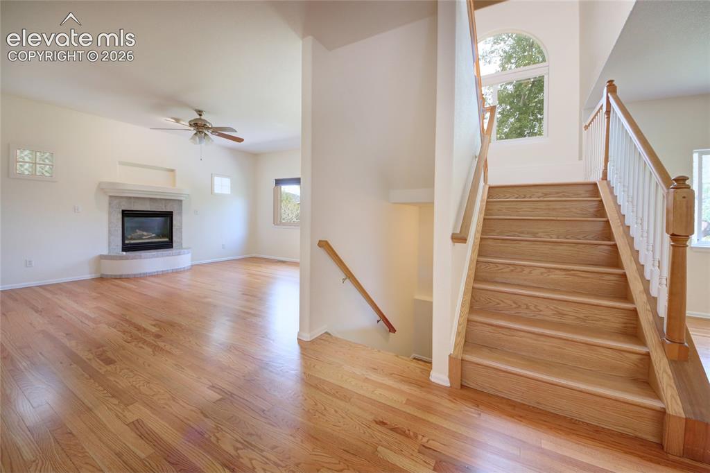 1734 W Yampa Street Colorado Springs CO 80904