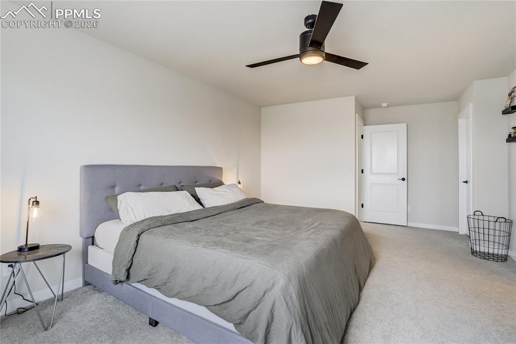 7248 Knapp Drive Colorado Springs CO 80924