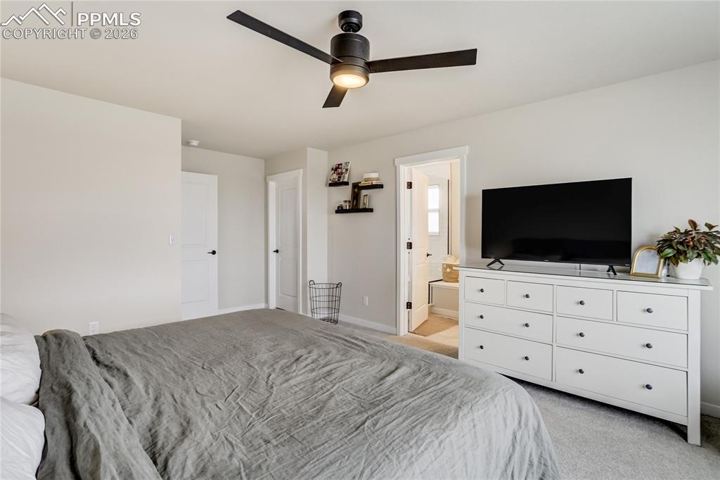 7248 Knapp Drive Colorado Springs CO 80924