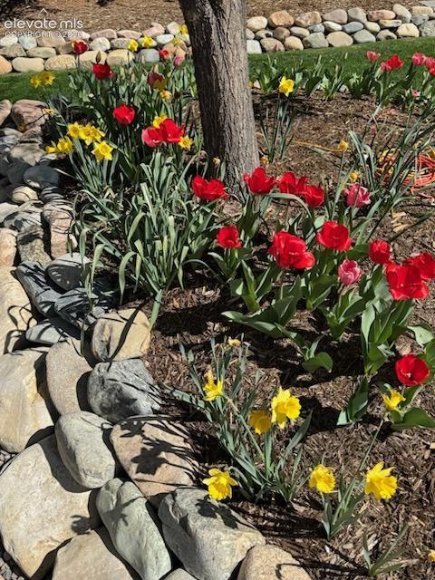 15701 Split Creek Drive Monument CO 80132