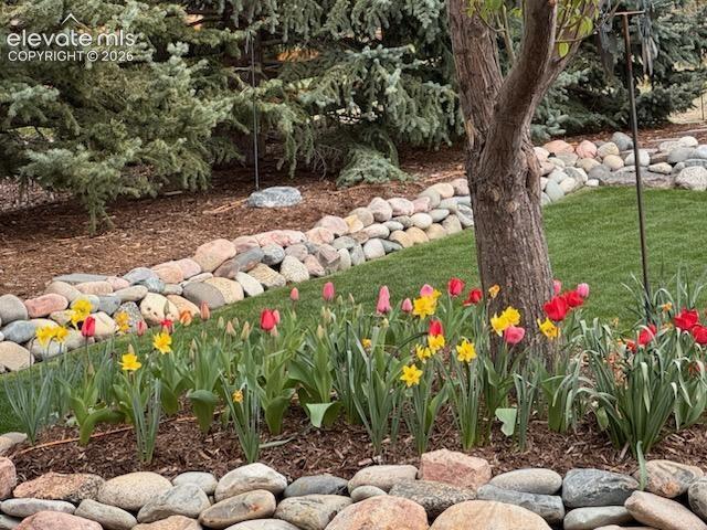 15701 Split Creek Drive Monument CO 80132