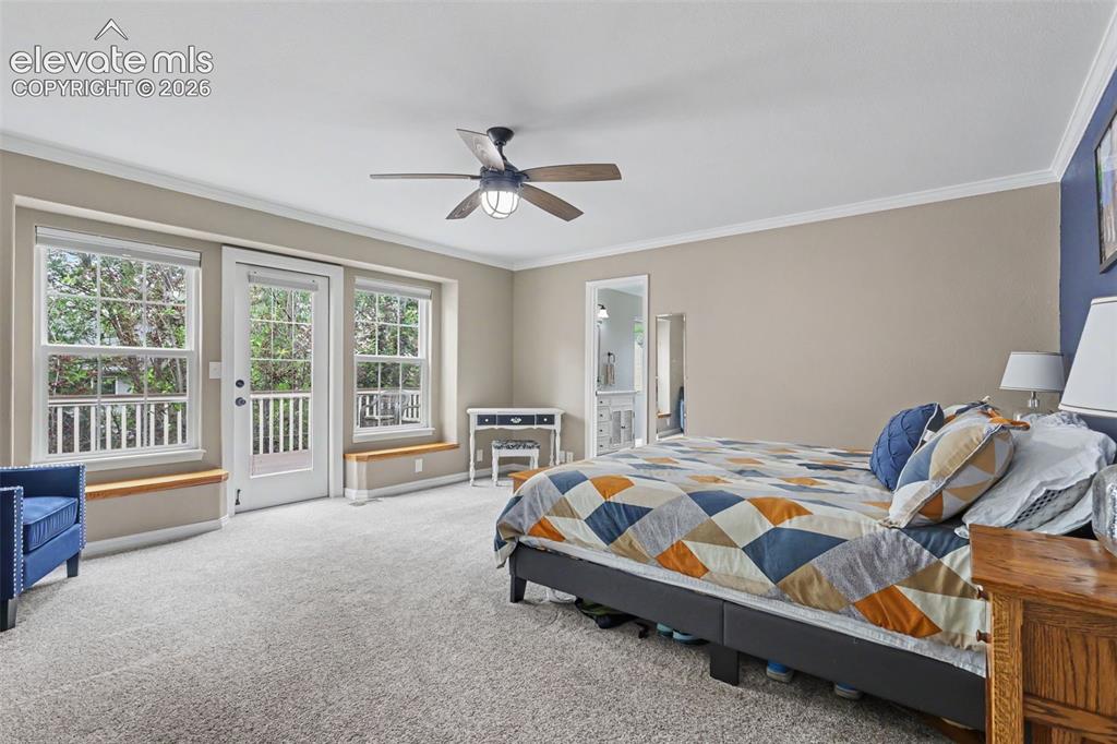 2315 Biltmore Court Colorado Springs CO 80907