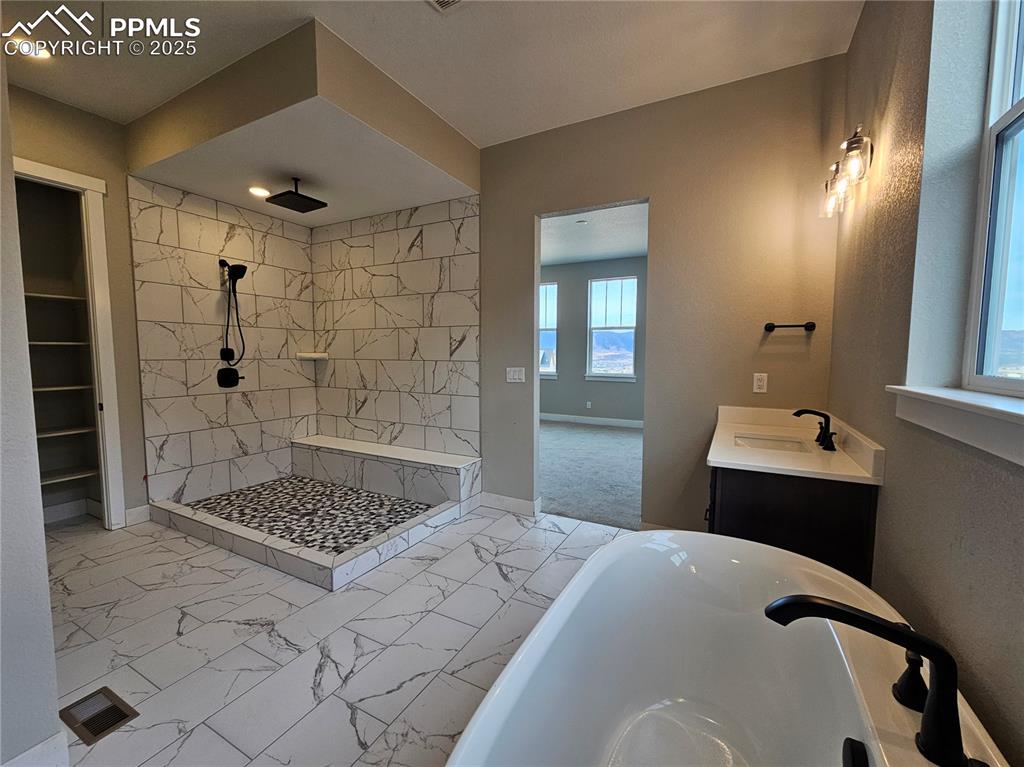 16366 Basset Mill Way Monument CO 80132