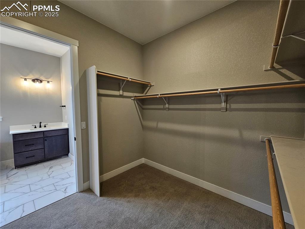 16366 Basset Mill Way Monument CO 80132