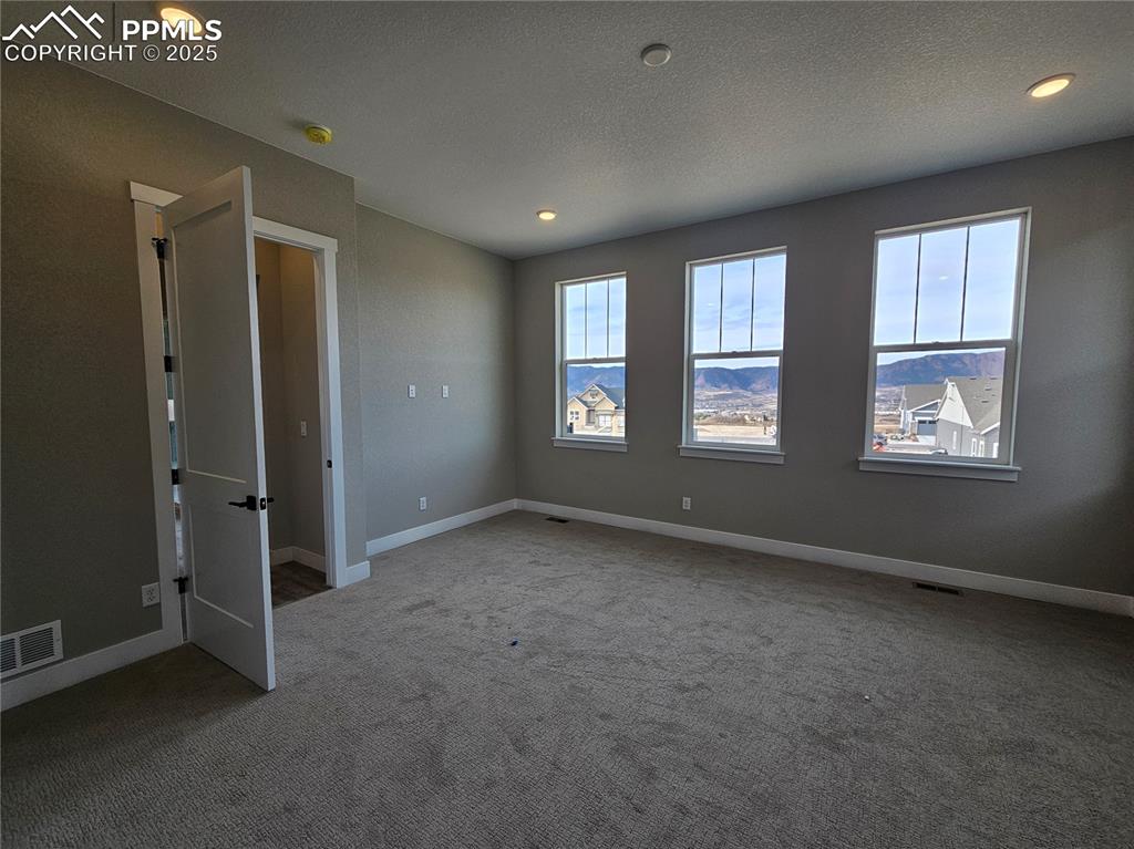 16366 Basset Mill Way Monument CO 80132