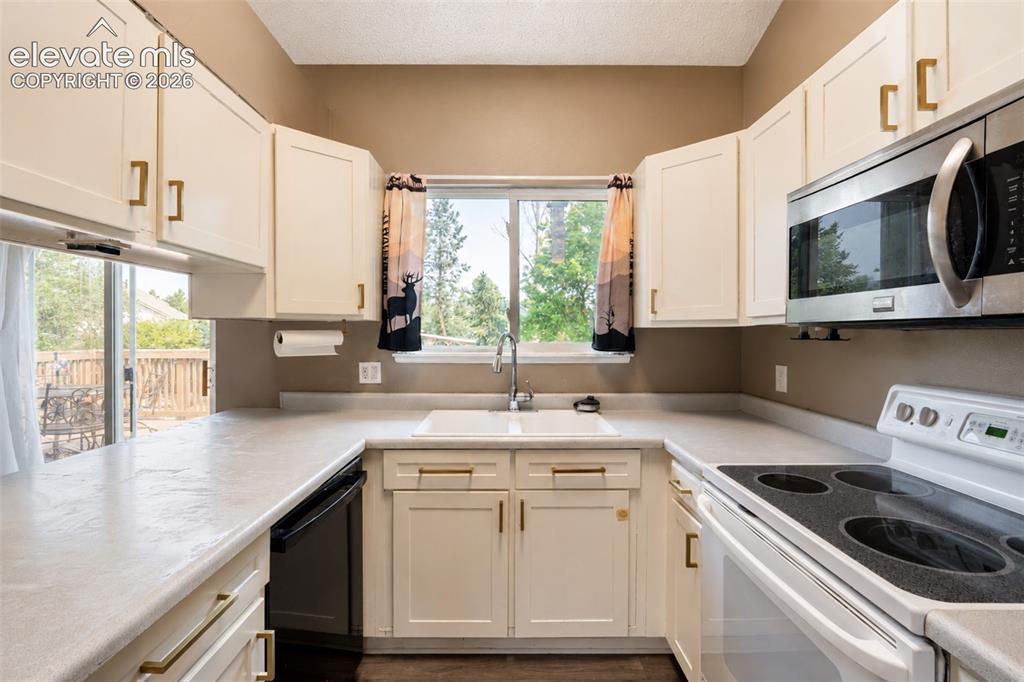 8550 Salsifa Terrace Colorado Springs CO 80920