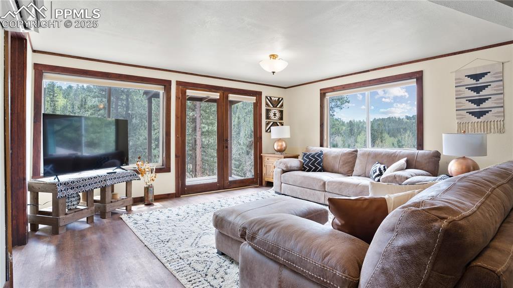 145 Valley Lane Woodland Park CO 80863