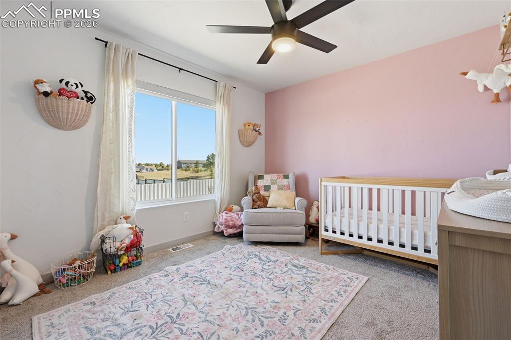 1421 Will Scarlet Drive Divide CO 80814