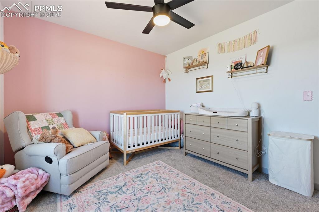 1421 Will Scarlet Drive Divide CO 80814