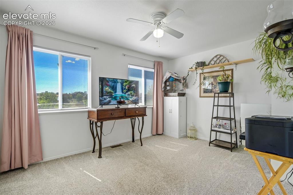 10065 Litchfield Street Peyton CO 80831