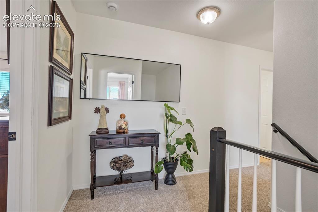 10065 Litchfield Street Peyton CO 80831