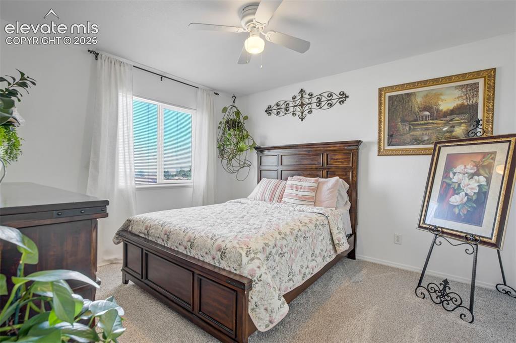 10065 Litchfield Street Peyton CO 80831