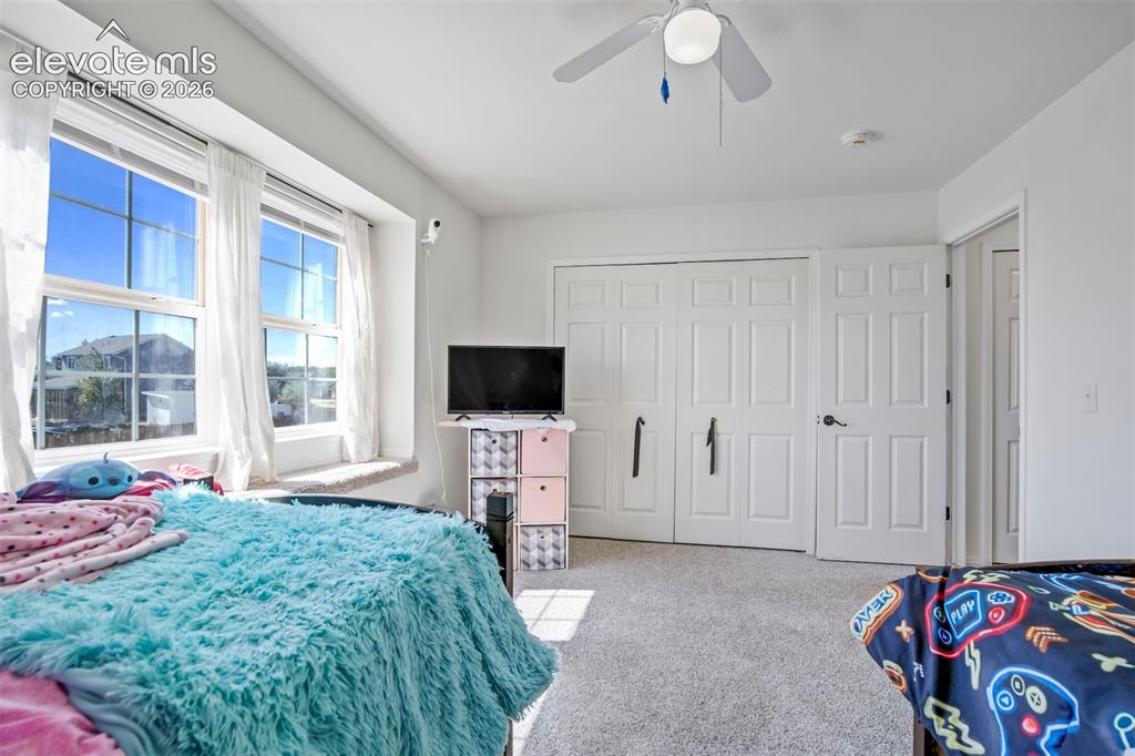 10065 Litchfield Street Peyton CO 80831