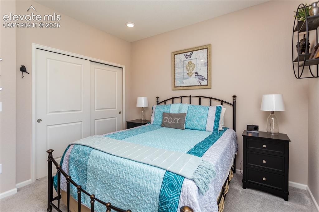 5913 Haster Grove Colorado Springs CO 80927