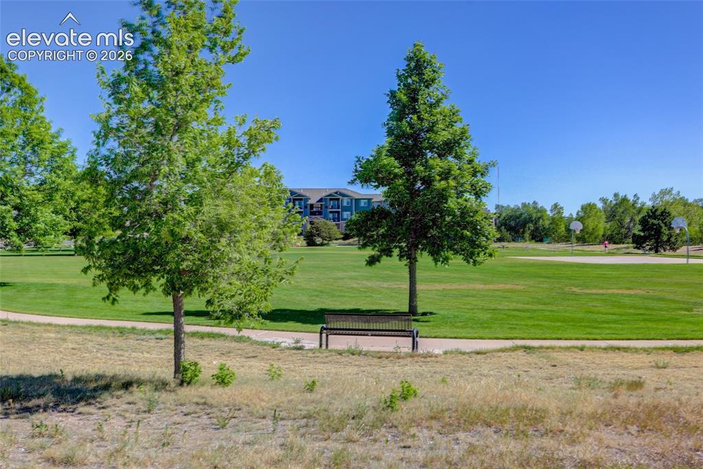 855 Greenbrier Drive Colorado Springs CO 80916