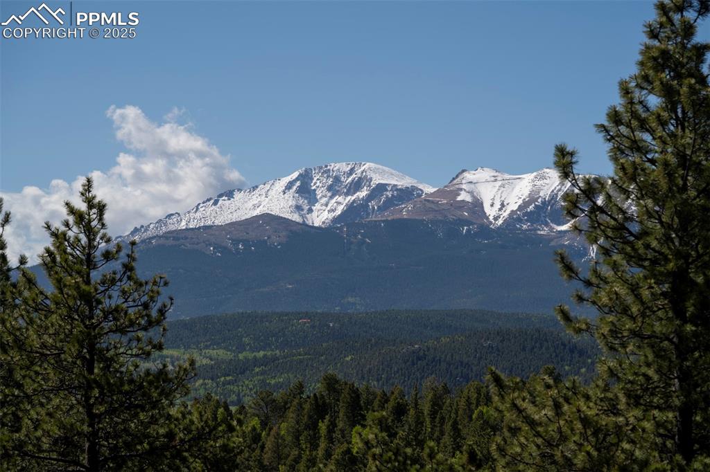 310 Blossom Road Woodland Park CO 80863
