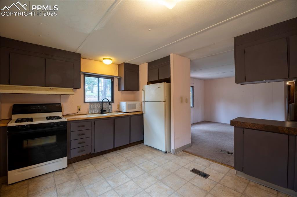 310 Blossom Road Woodland Park CO 80863